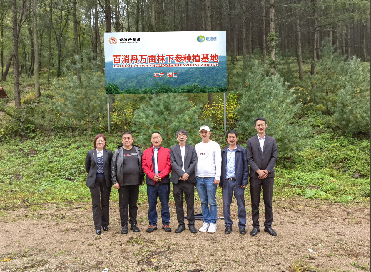 百消丹集團董事長佘中生赴遼寧林下參種植基地、河北生產基地考察調研